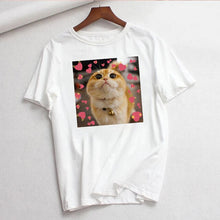 Cute Cat T Shirt Women Casual Funny Print Tshirt Harajuku Kawaii Fashion T-shirt Summer Short Sleeve Top Tees Female